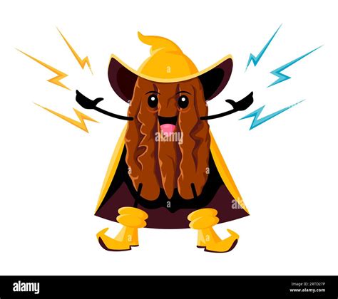 Cartoon Pecan Nut Wizard And Sorcerer Character Isolated Vector Warlock Personage Wearing