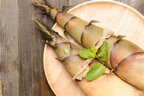 Cara Membuat Pupuk Organik Cair Dari Rebung Bambu