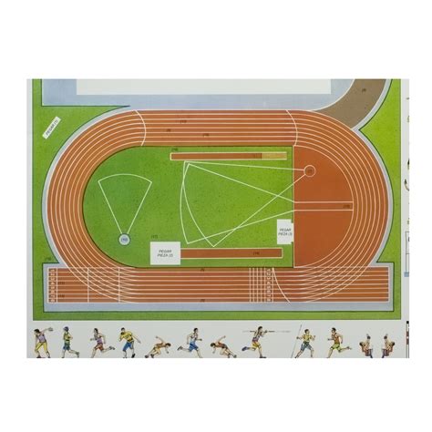 Dimensiones De La Pista De Atletismo