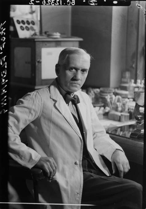 Npg X12323 Alexander Fleming Portrait National Portrait Gallery