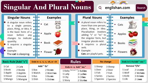 Order Of Adjectives With Rules Examples And Exercise