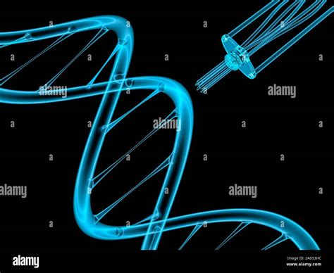 Ilustración conceptual mostrando el proceso de ingeniería genética