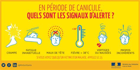 Tout savoir sur la canicule définition niveaux d alerte et risques