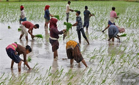 India Witnesses Driest August In 100 Years Threatening Summer Crops