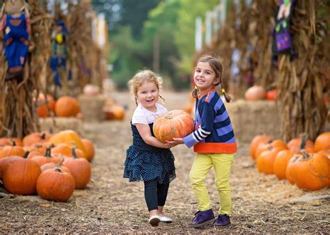 6 Family-Friendly Fall Harvest Festivals in Edmonton and Area - Raising ...