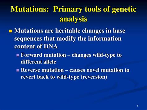 Ppt Anatomy And Function Of A Gene Powerpoint Presentation Free