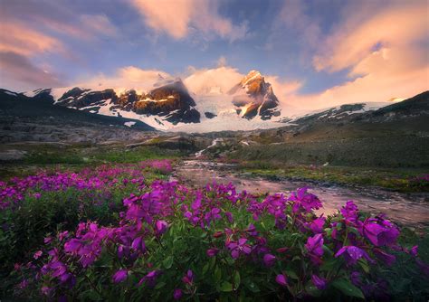 Mountain Paradise : Pacific Mountains, BC : Marc Adamus Photography