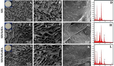 Structural Morphology And Chemical Composition Of Scaffolds