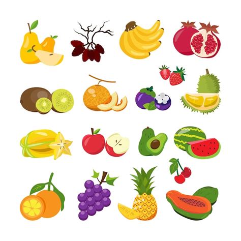 Premium Vector Set Of Fruits Illustration