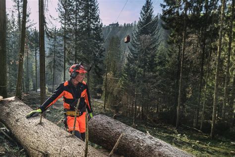 Aktiv Im Wald Schweizer Rohstoff