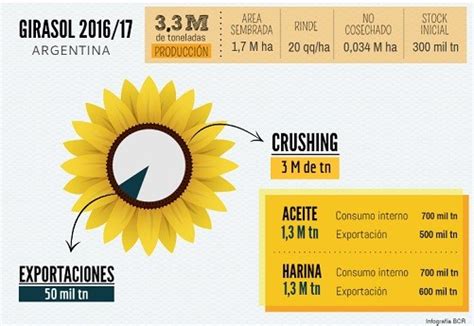 ¿cuáles Pueden Ser Los Destinos Finales Y Usos Del Girasol 1617