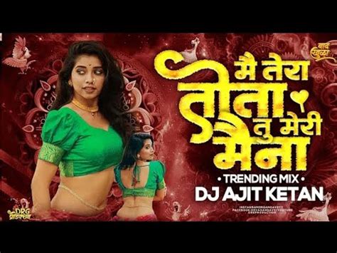 Main Tera Tota Tu Meri Maina Dance Mix Ajit Ketan Official Youtube