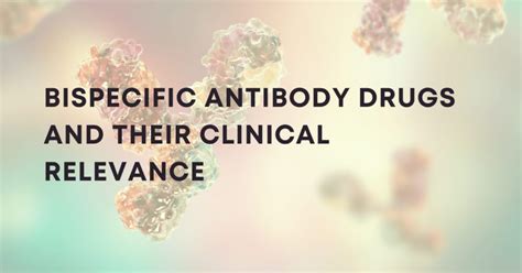 Introduction to Bispecific Antibody Therapeutics