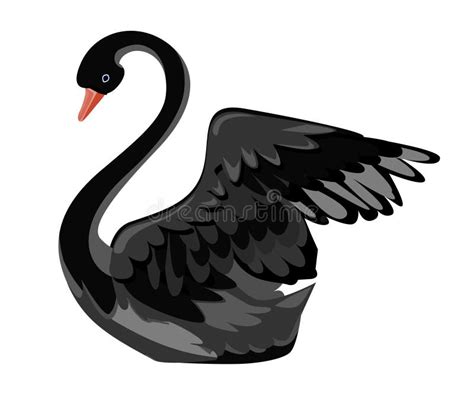 Beautiful Black Swan Stock Vector Illustration Of Modern 107519130