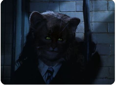 Emma Watson did not film cat transformation scene in Harry Potter