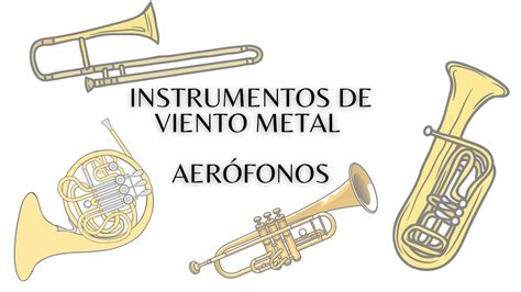 Bar Ts Gos Immunit S V S Rolni Instrumentos Aerofonos J Tsz T R