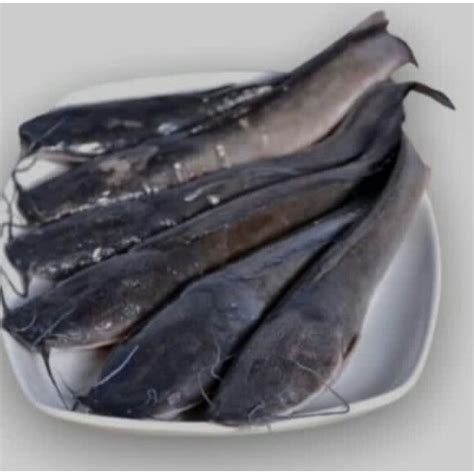 Jual Ikan Lele Segar 500 Gram Isi 4 Ekor Shopee Indonesia