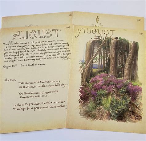 August Edith Holden Vintage Book Pages From The Country Diary Of An