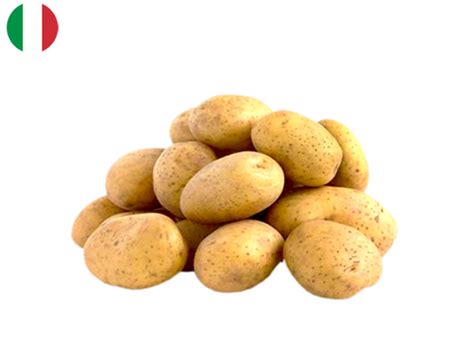 Potato Spunta From Venezia Italy Organic Cheese Club Hong Kong