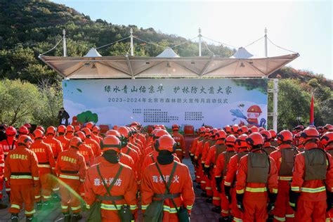 北京进入森林防火期 全市严密布控森林防火工作防火徒步巡查新浪新闻