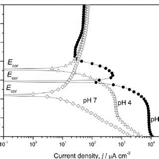 Anodic And Cathodic Polarization Curves For The Electrode Of Chromium