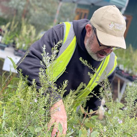 City of Swan Plants to Residents Update