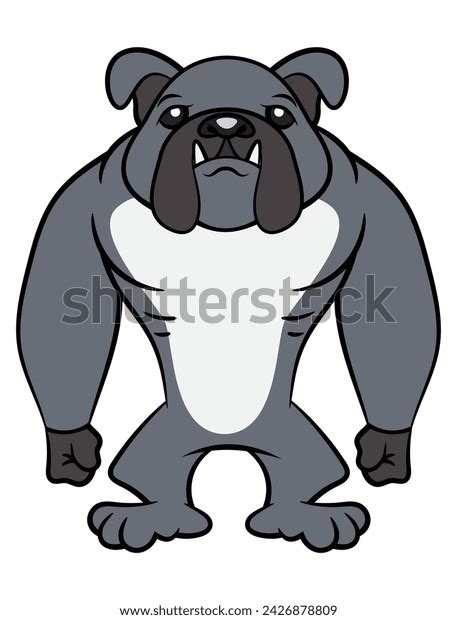 Funny Muscular Bulldog Cartoon Characters Standing Stock Vector