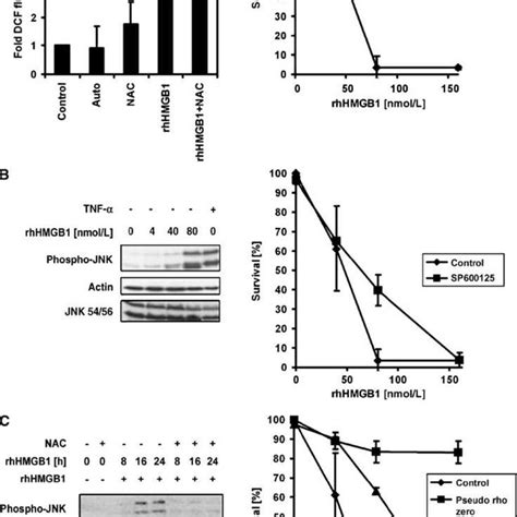 Role Of Mitochondria Ros Generation And Jnk Activation In Download Scientific Diagram