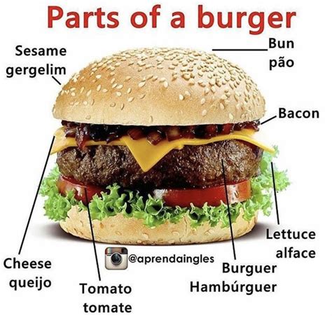 Parts Of A Burger Sandwich Vocabulary Burger Food Burger Buns