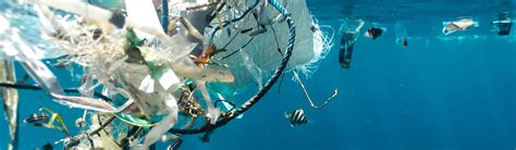 Unraveling the impact of microplastics in our oceans and bodies | SKOOT