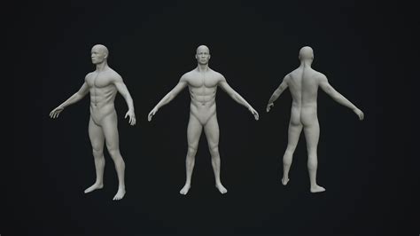 D Model Base Mesh Male Body Vr Ar Low Poly Cgtrader