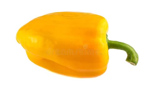 Pimenta Isolada Uma Pimenta De Sino Amarelo Isolada No Fundo Branco