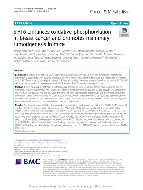 Pdf Sirt Enhances Oxidative Phosphorylation In Breast Cancer And