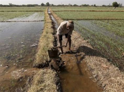 Irrigation Systems In Mesopotamia