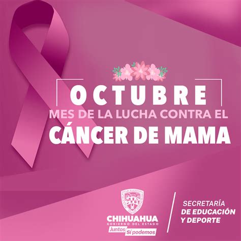 Octubre Mes de la lucha contra el cancer de mama Unidad de Género