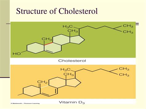 Ppt Chap 5 Lipids Powerpoint Presentation Free Download Id294038