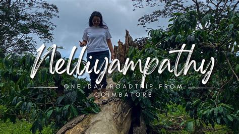 Nelliyampathy A Day Trip To Nelliyampathy Let S Explore The Tourist