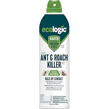 Amazon Raid Essentials Ant Spider And Roach Killer Aerosol Spray