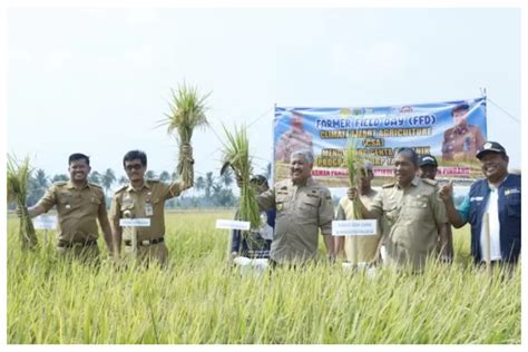 Andi Irwan Hamid Ungkap Syukur Hasil Panen Petani Pinrang Memuaskan