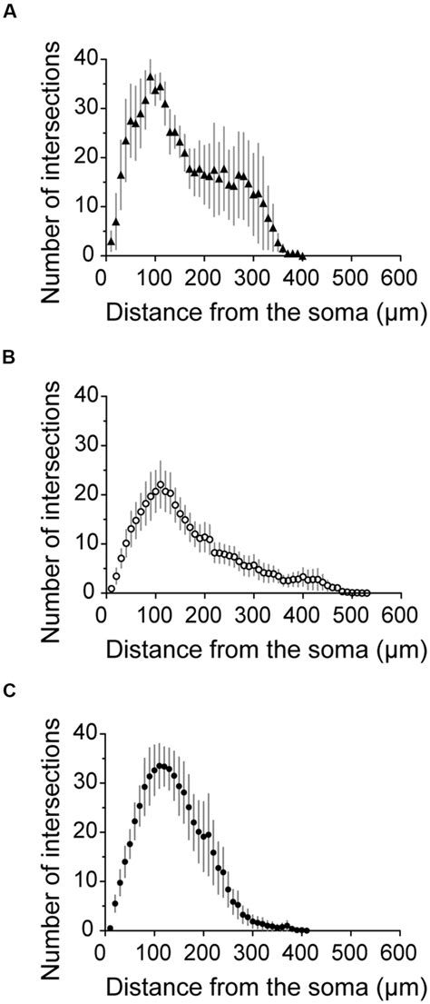 Verification By Pv Or Som Immunostaining Of The Identity Of Labeled