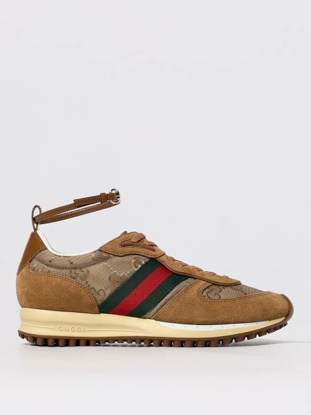 gucci collection ah  gigliocom
