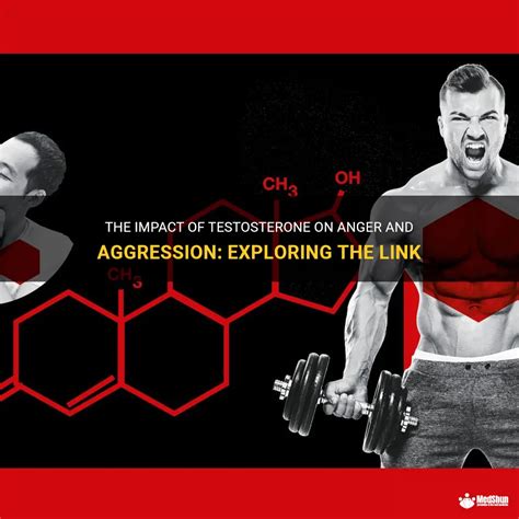 The Impact Of Testosterone On Anger And Aggression Exploring The Link