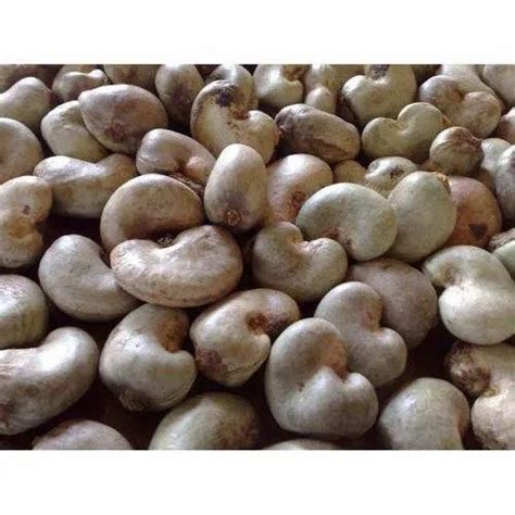 Common Raw Cashew Nut Packaging Size Kg At Rs Kg In