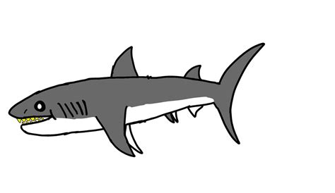 Shark Doodle By Sharkdrawsstuff On Deviantart