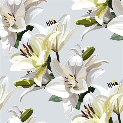 Fleurs Blanches De Lys Madonna De Lys Motif Floral Sans Couture Sur Le