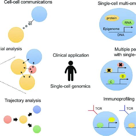 Overview Of Single Cell Genomics To Understand Disease Pathogenesis