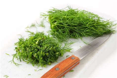 Fresh Chopped Dill Weed Stock Photos Free Royalty Free Stock Photos