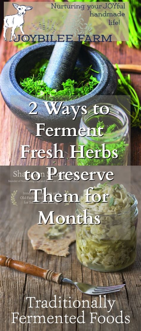 Fermented Fresh Herbs Preserve The Intense Flavor While Adding Probiotics