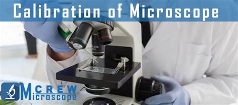 How to Calibrate a Microscope? - Microscope Crew