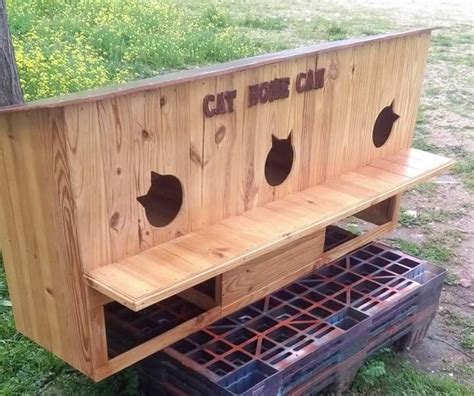 Como Hacer Casas Para Gatos Exterior